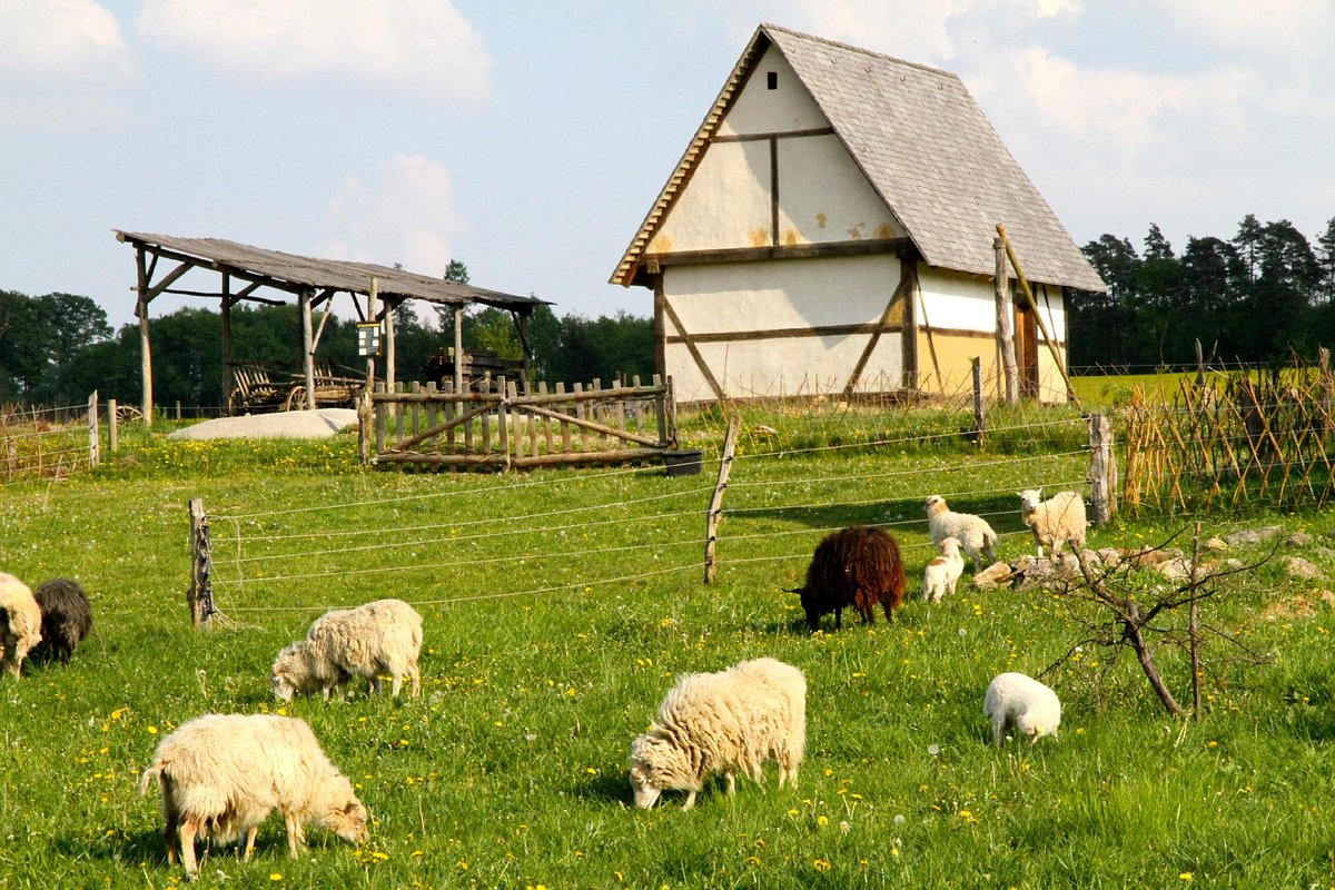 Kleiner Bauernhof (Selde)